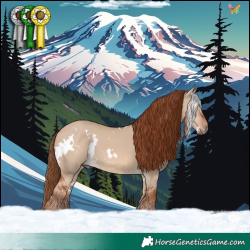 Horse Color:White Spotted Red Dun 