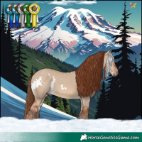 Horse Color:White Spotted Red Dun 