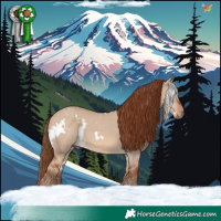 Horse Color:White Spotted Red Dun 
