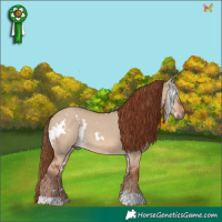 Horse Color:White Spotted Red Dun 