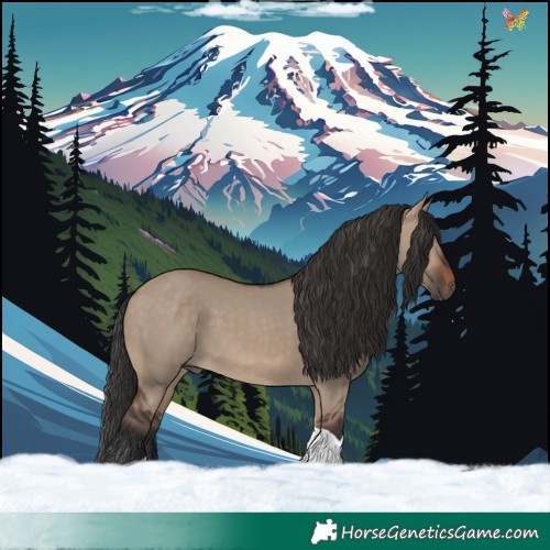 Horse Color:Brown Dun Tobiano 