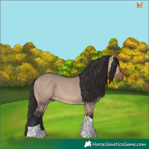 Horse Color:Brown Dun Tobiano 