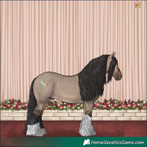 Horse Color:Brown Dun Tobiano 