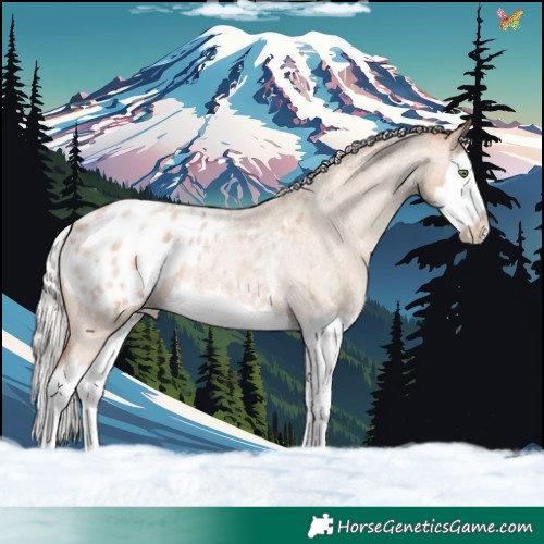 Horse Color:Silver Classic Champagne Roan Splash Blanket 