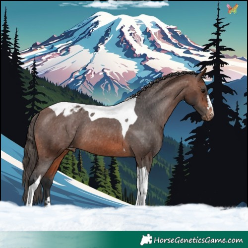 Horse Color:Brown Tobiano Varnish Rabicano 