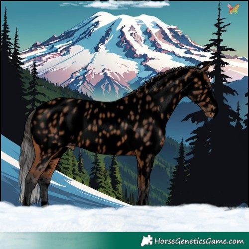 Horse Color:Void Bay Near Leopard 