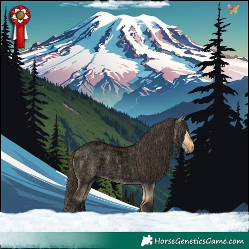Horse Color:Void Buckskin Roan Dun 