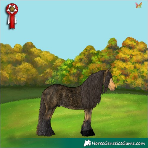 Horse Color:Void Buckskin Roan Dun 
