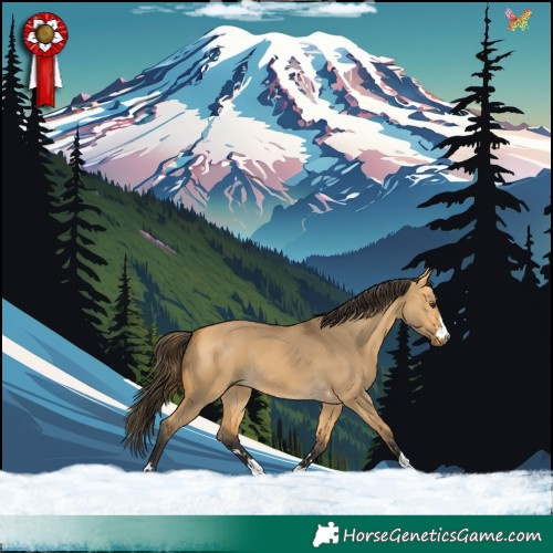 Horse Color:Buckskin Dun 