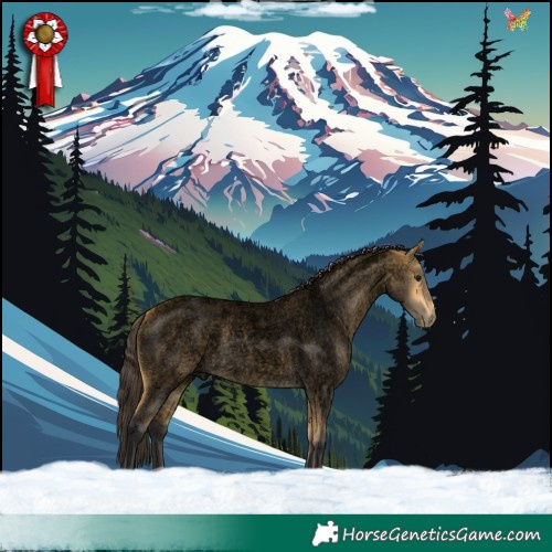 Horse Color:Void Buckskin Roan 
