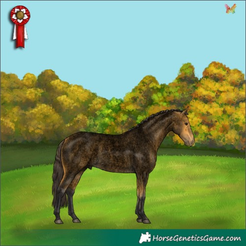 Horse Color:Void Buckskin Roan 