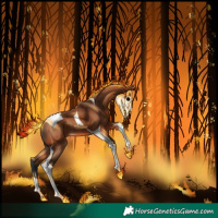 Horse Color:Bay Tobiano