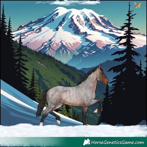 Horse Color:Bay Roan Rabicano 