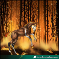 Horse Color:Bay Tobiano 