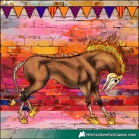 Horse Color:Bay 