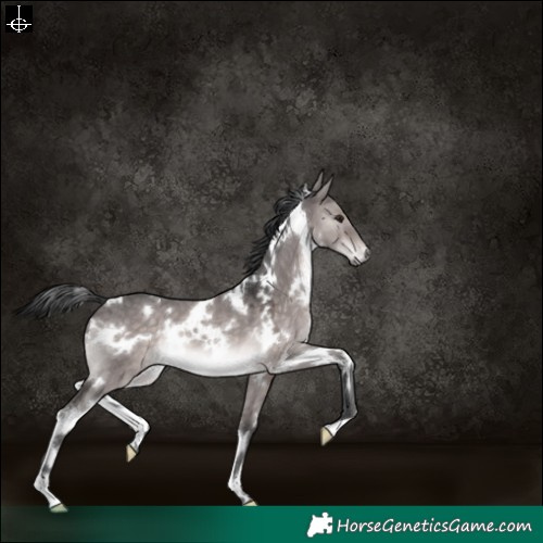 Horse Color:Platinum White Spotted Brown Dun 