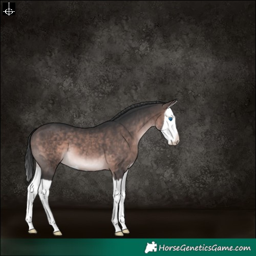 Horse Color:Platinum Brown Splash 