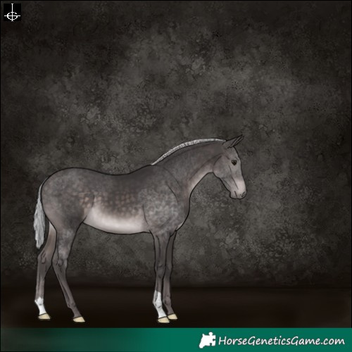 Horse Color:Platinum Silver Brown 