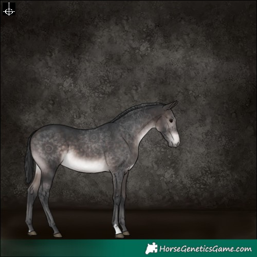 Horse Color:Platinum Brown 