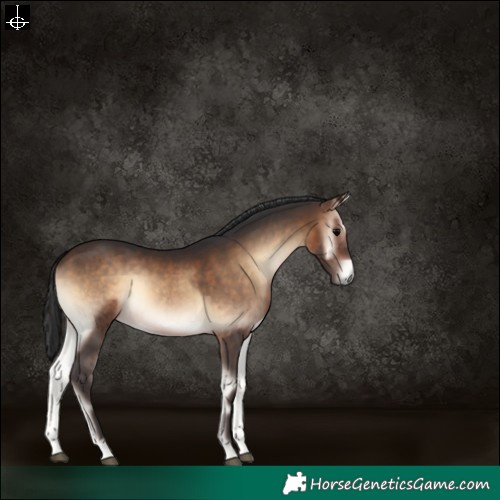 Horse Color:Brown Onyx 