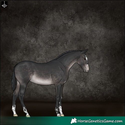 Horse Color:Platinum Brown 