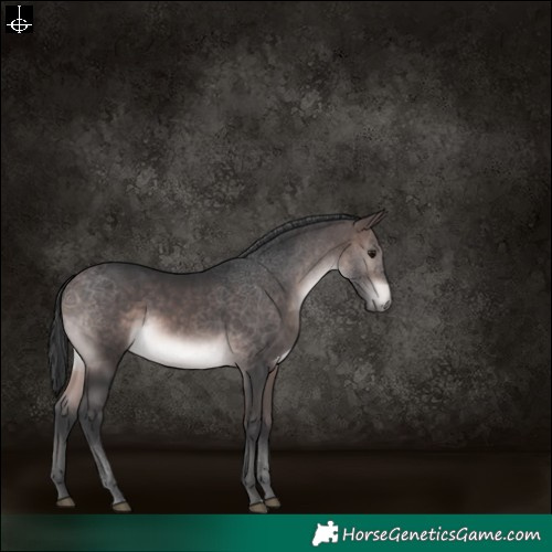Horse Color:Platinum Brown 