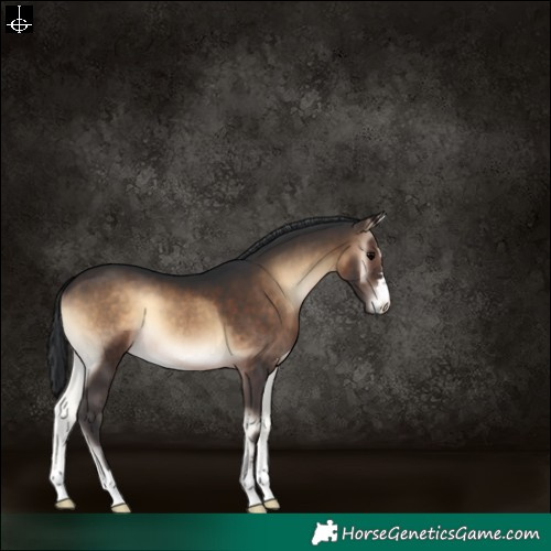 Horse Color:Brown Onyx 