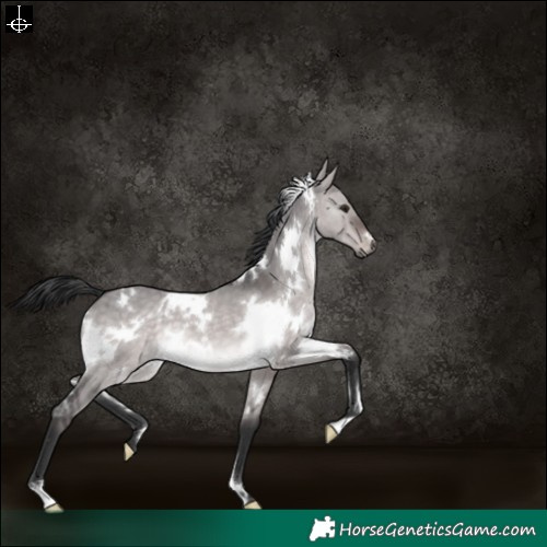 Horse Color:Platinum White Spotted Brown Dun 