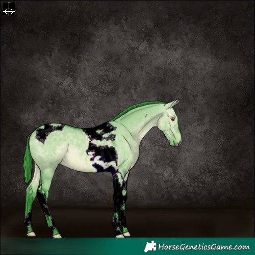 Horse Color:Watercolor Bay Chinchilla Dun Tobiano 