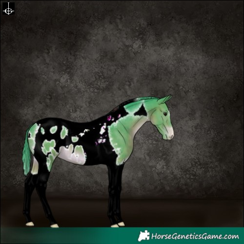 Horse Color:Watercolor Brown Tobiano Blanket 