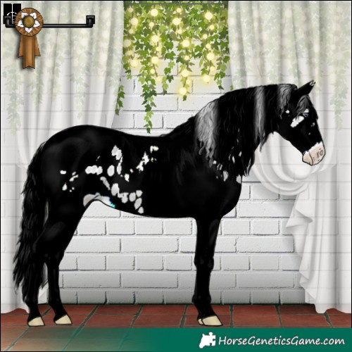 Horse Color:White Spotted Brown Chinchilla Dun Splash Tobiano Leopard 