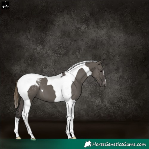 Horse Color:Smoky Grullo Tobiano Varnish 