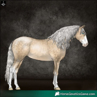 Horse Color:Silver Buckskin Pearl Sabino 