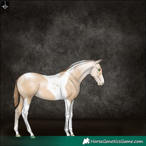 Horse Color:Smoky Black Pearl Tobiano Varnish 