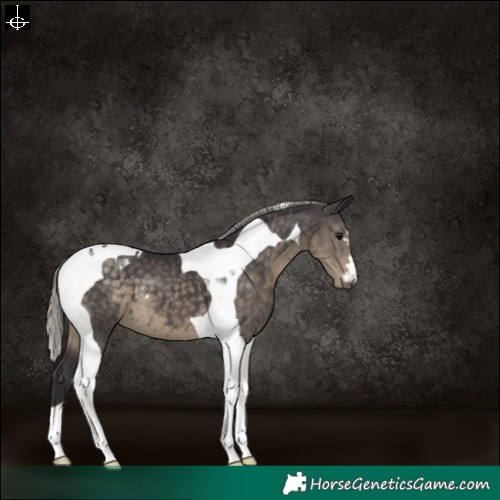 Horse Color:Silver Smoky Black Tobiano 