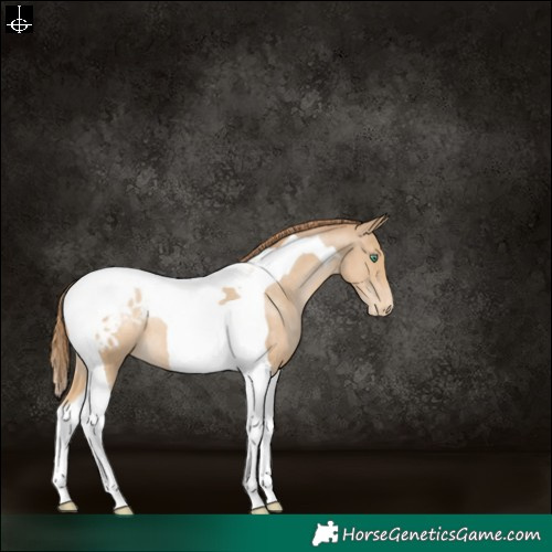 Horse Color:Smoky Black Pearl Tobiano Varnish 