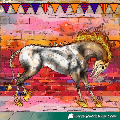 Horse Color:Sable Champagne Appaloosa 