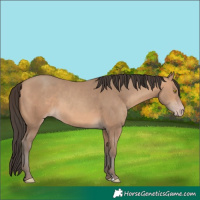 Horse Color:Amber Champagne 