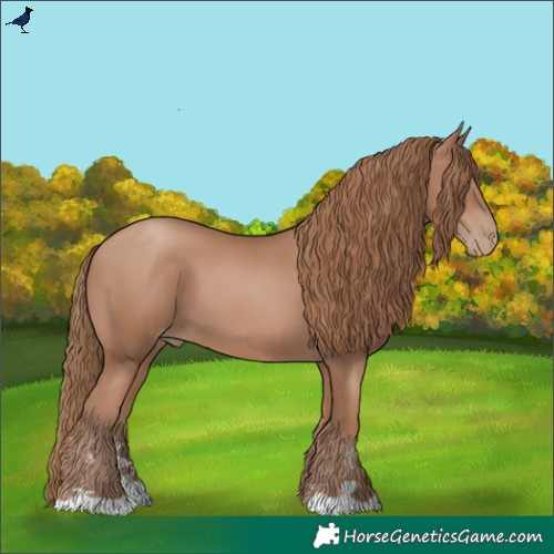 Horse Color:Black Pearl 