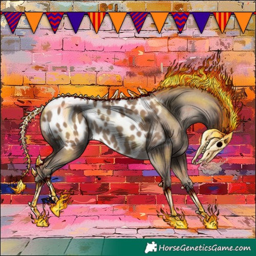 Horse Color:Classic Champagne Appaloosa 