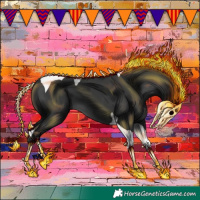 Horse Color:Black Tobiano 