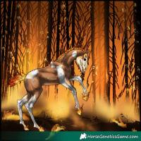 Horse Color:Bay Tobiano 