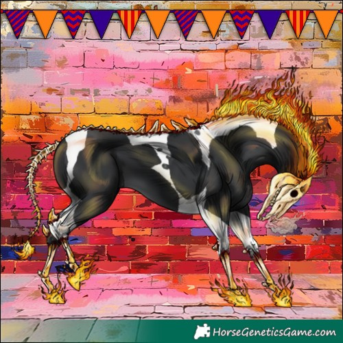 Horse Color:Black Tobiano 