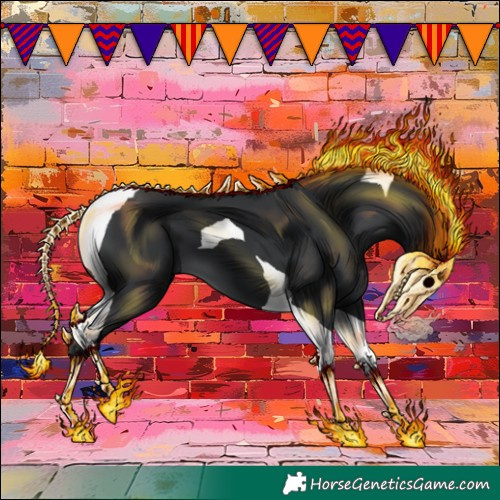 Horse Color:Black Tobiano
