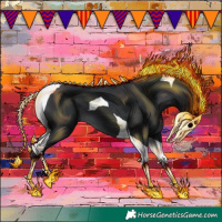 Horse Color:Black Tobiano 