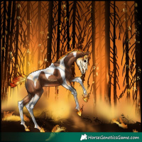 Horse Color:Bay Tobiano