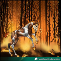 Horse Color:Bay Tobiano