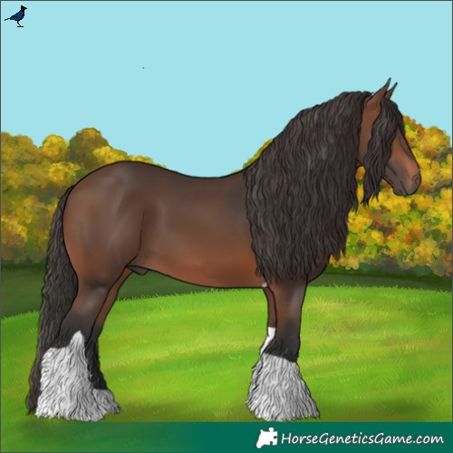 Horse Color:Brown Tobiano