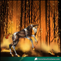 Horse Color:Brown Tobiano 