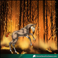 Horse Color:Amber Champagne Tobiano